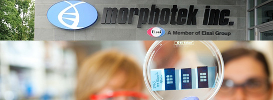 Morphotek Life Sciences