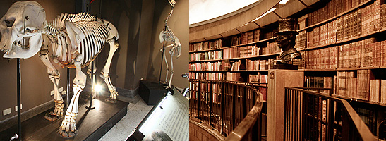 Museum