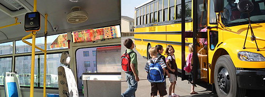 Schools and Universities